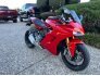 2019 Ducati Supersport 937 for sale 201252601